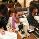 ricerca bando dottorato Università Verona