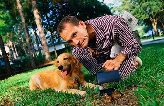 Cacca cane e padrone che ripulisce