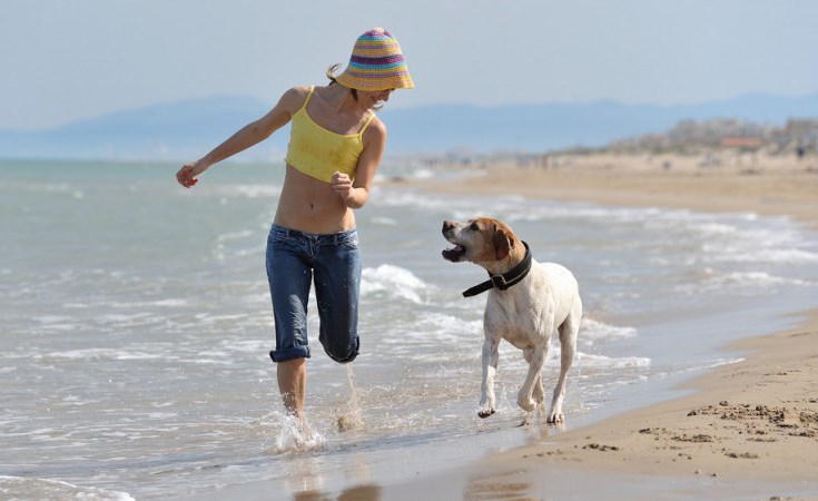 Spiagge Per Cani In Italia Ecco 10 Località Italiane Dog