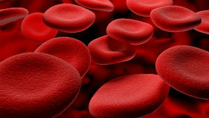 Bioreattori e cellule staminali produrranno sangue artificiale
