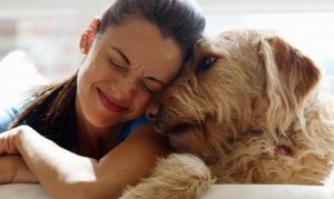 Cani e coccole