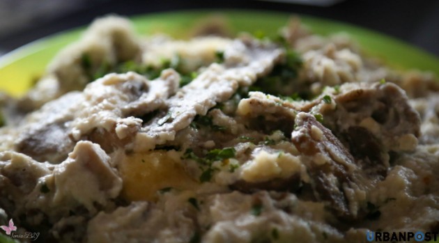 Pasta grano saraceno funghi