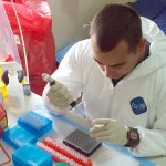 ebola virus italia germania ultime notizie