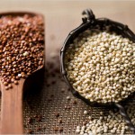 come cucinare quinoa proprietà ricette