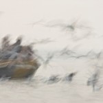 arte fiera 2015 espositori artisti