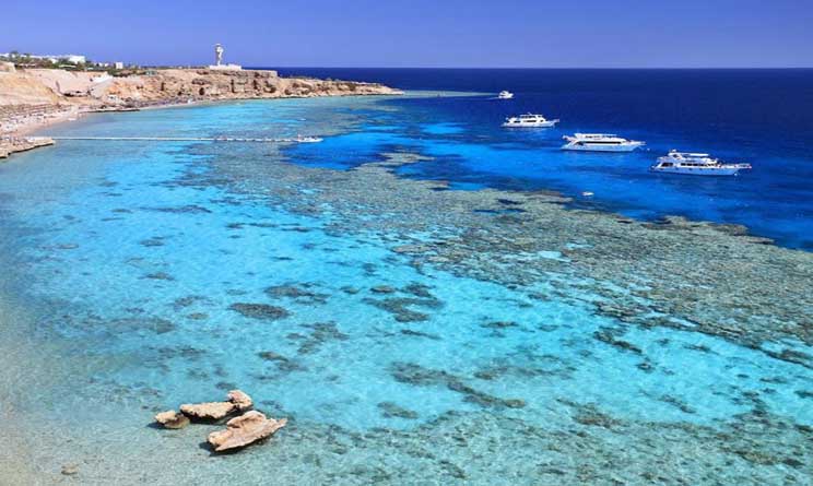 Sharm El Sheikh A Gennaio Si Fa Il Bagno