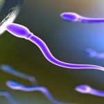 Donatore di sperma caratteristiche