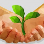 bando startup low carbon economy
