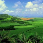 70 stage nella green economy