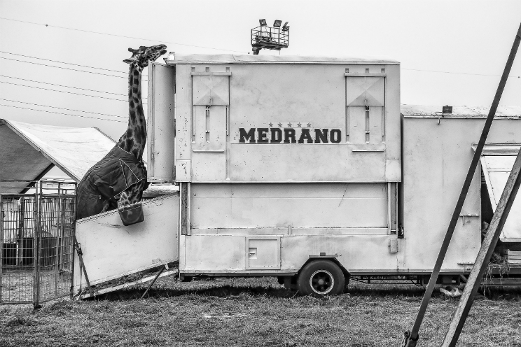 eventi gratis milano photofestival 2016