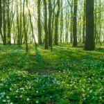 Parchi naturali in Lombardia