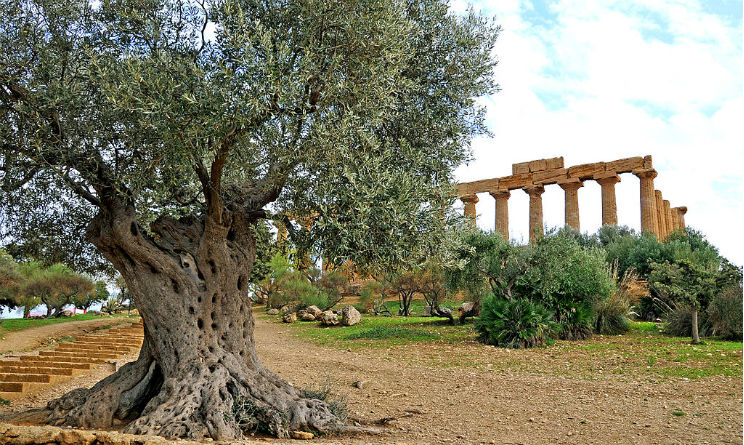 Vacanze in Sicilia estate 2016 cosa fare
