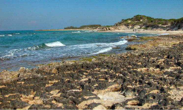 Torre Guaceto in Puglia spiagge bandiera blu 2016