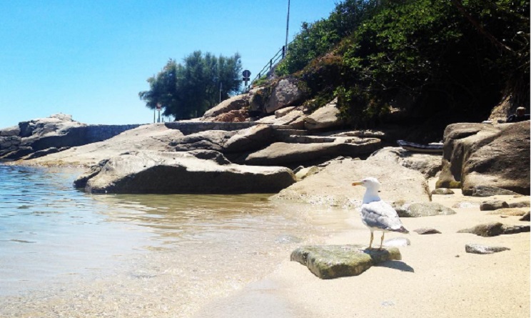 Spiaggia di Seccheto/ Image credit: Sonila Alushi - Instagram