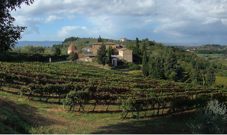 I 15 vigneti più belli del mondo