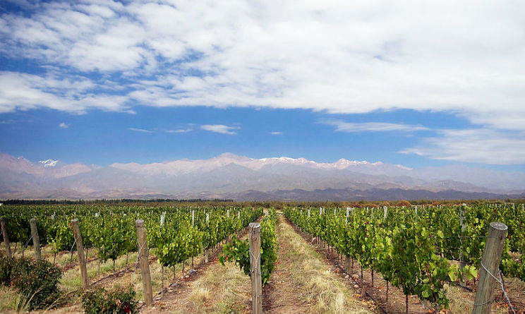 15 vigneti bellissimi al mondo