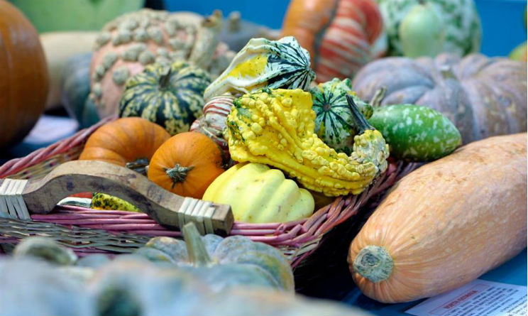 Eventi e itinerari Salone del Gusto Torino 2016