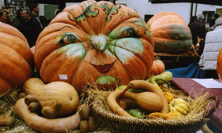 Le feste della zuccain Friuli da scegliere ad ottobre 2016