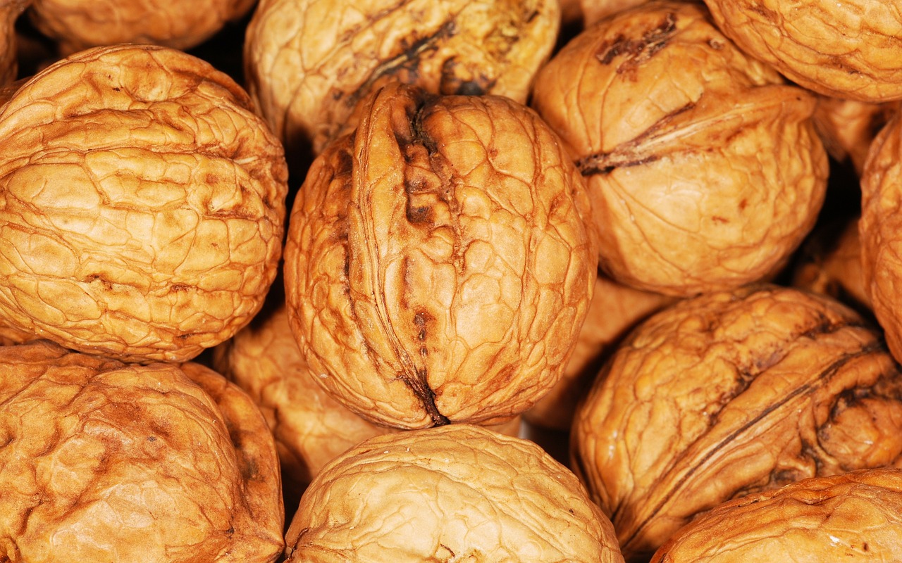 ricette di dieta alcalina uk