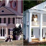 case di lusso per cani, case di lusso cani, case di lusso animali domestici,