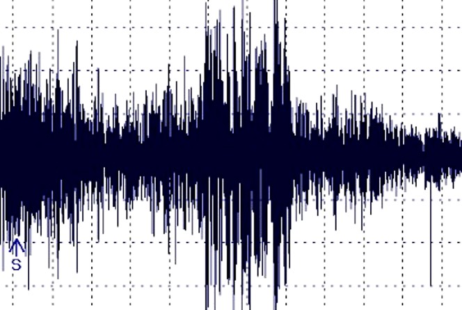 Lista Dei Terremoti In Tempo Reale INGV, Sciame Sismico In Atto: Le ...