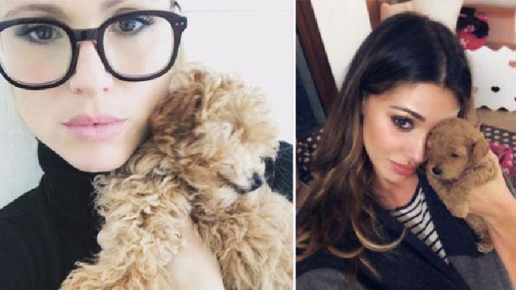Belen Rodriguez news