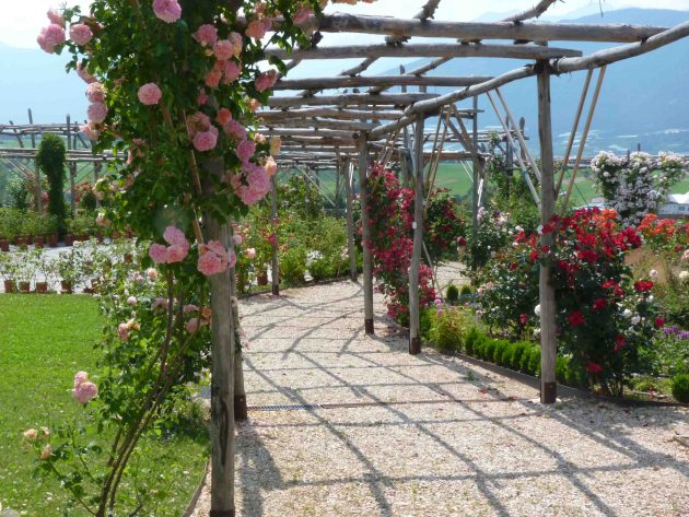 Grandi Giardini - Giardino della Rosa provincia Trento