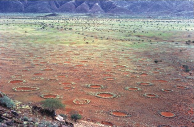 cerchi delle fate namibia