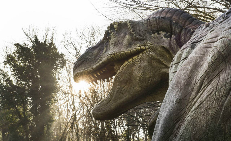 Mostre Napoli 2017 dai dinosauri a Leonardo Da Vinci ecco quelle imperdibili