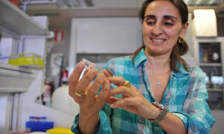 Biologa italiana scopre per caso il bruco che mangia la plastica