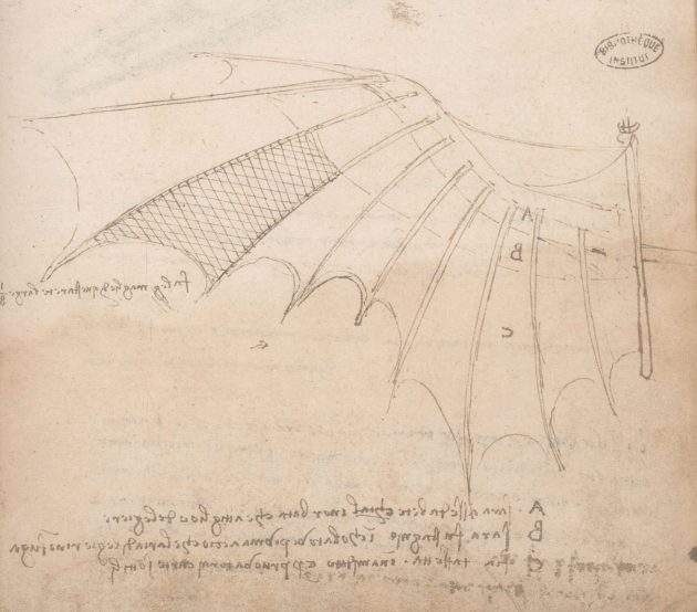 mostra leonardo da vinci montepulciano