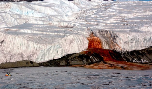 casctae di sangue in antartide