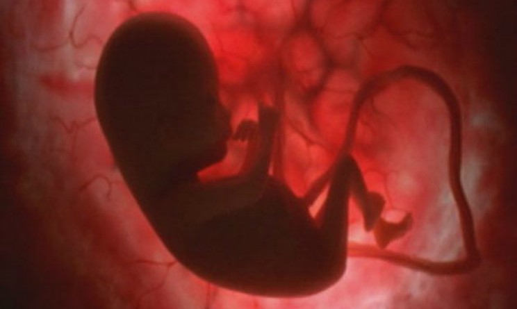 I feti riconoscono i volti e li seguono con la testa, scoperta durante esperimento