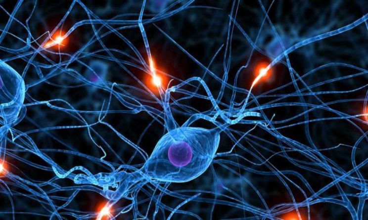 Sclerosi multipla, CCSVI potrebbe essere causata da Clamidia, lo studio scientifico