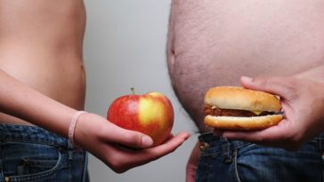 Dieta, quando non funziona e si ingrassa, la colpa potrebbe essere dei batteri