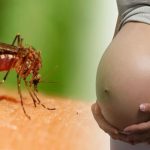 Virus Zika, da malattia ad arma contro il cancro