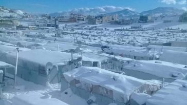 amatrice campo profughi libano