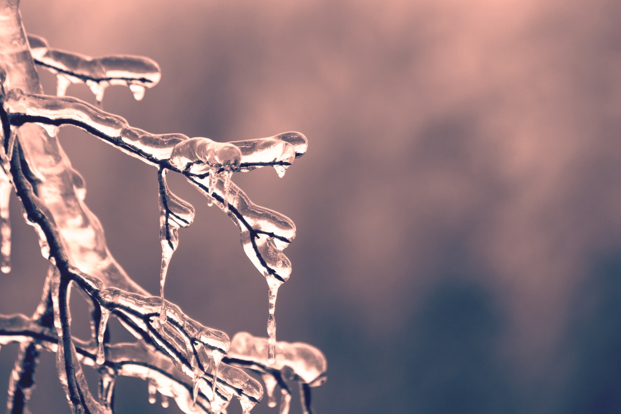 https://media.urbanpost.it/wp-content/uploads/2019/02/pexels-photo-436792.jpeg