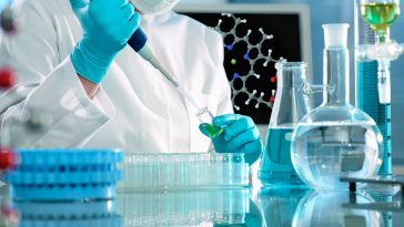 cancro scoperta cellula t