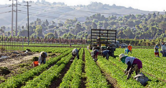 regolarizzazione lavoro nero