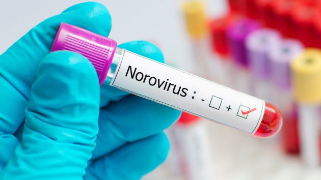 Norovirus