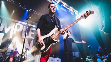 simple plan david desrosiers