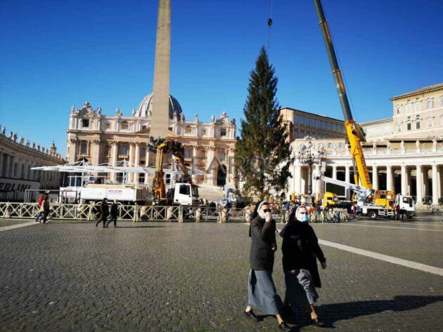 Presepe Vaticano 2020