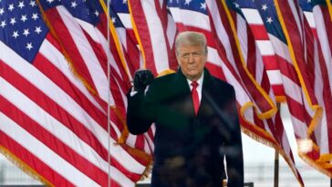 trump rimozione