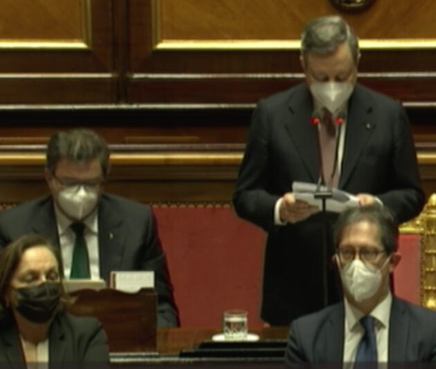 draghi senato