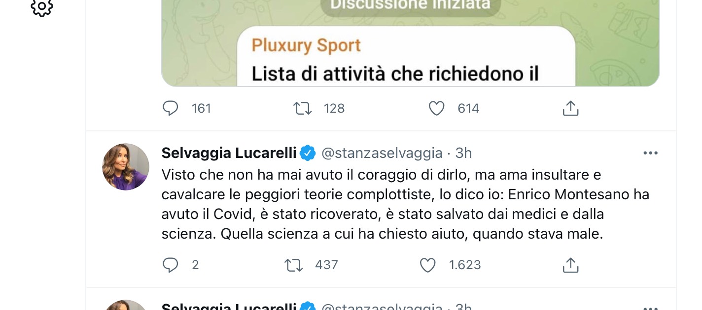 Selvaggia Lucarelli accusa Enrico Montesano