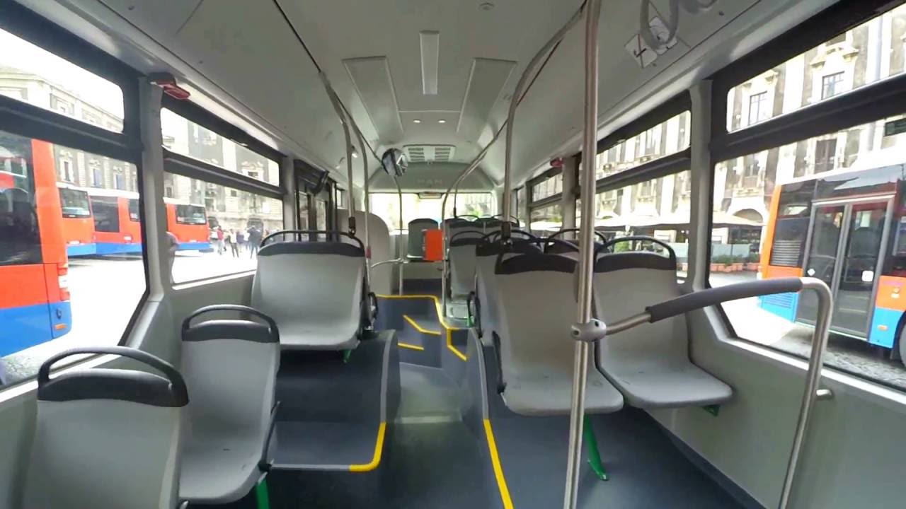 Green pass autobus