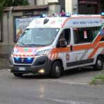 Cani randagi sbranano