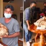 Vomito di balena, pescatore ne trova 30 kg e diventa milionario