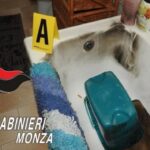 lambiate Monza